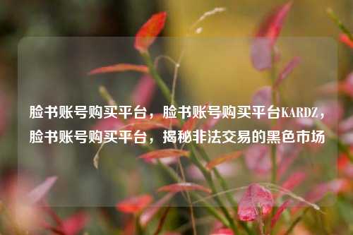 脸书账号购买平台，脸书账号购买平台KARDZ，脸书账号购买平台，揭秘非法交易的黑色市场