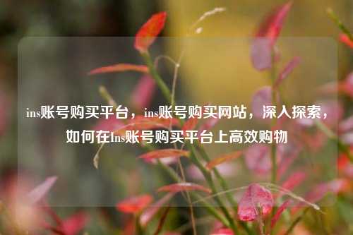 ins账号购买平台，ins账号购买网站，深入探索，如何在Ins账号购买平台上高效购物
