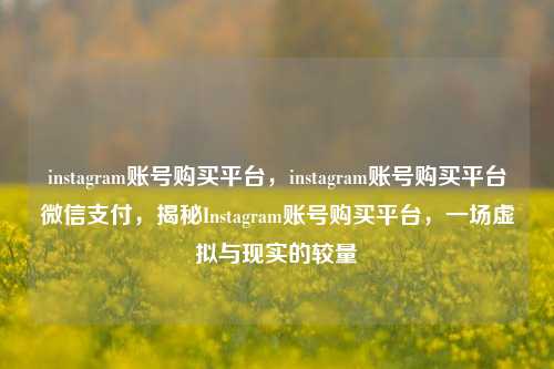 instagram账号购买平台，instagram账号购买平台微信支付，揭秘Instagram账号购买平台，一场虚拟与现实的较量