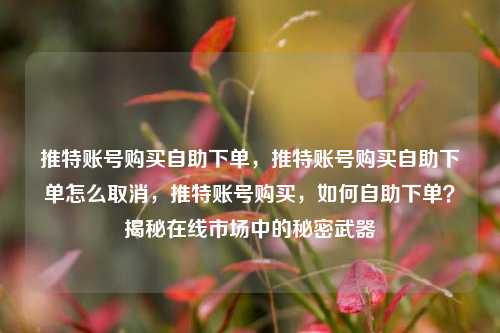 推特账号购买自助下单，推特账号购买自助下单怎么取消，推特账号购买，如何自助下单？揭秘在线市场中的秘密武器