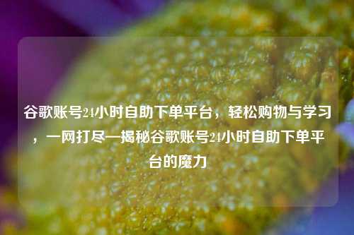 谷歌账号24小时自助下单平台，轻松购物与学习，一网打尽—揭秘谷歌账号24小时自助下单平台的魔力
