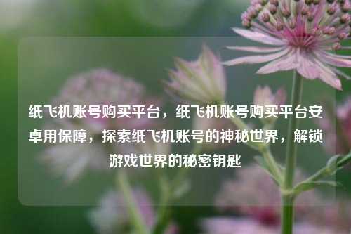 纸飞机账号购买平台，纸飞机账号购买平台安卓用保障，探索纸飞机账号的神秘世界，解锁游戏世界的秘密钥匙
