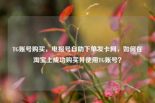 TG账号购买，电报号自助下单发卡网，如何在淘宝上成功购买并使用TG账号？
