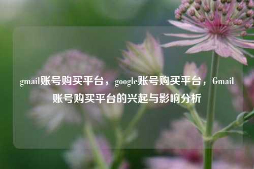 gmail账号购买平台，google账号购买平台，Gmail账号购买平台的兴起与影响分析