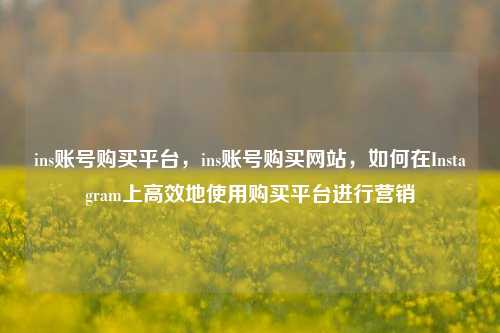 ins账号购买平台，ins账号购买网站，如何在Instagram上高效地使用购买平台进行营销