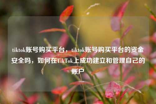 tiktok账号购买平台，tiktok账号购买平台的资金安全吗，如何在TikTok上成功建立和管理自己的账户