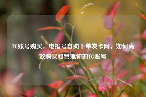 TG账号购买，电报号自助下单发卡网，如何高效购买和管理你的TG账号