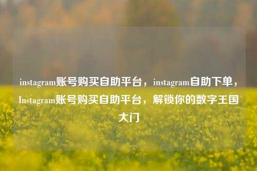 instagram账号购买自助平台，instagram自助下单，Instagram账号购买自助平台，解锁你的数字王国大门