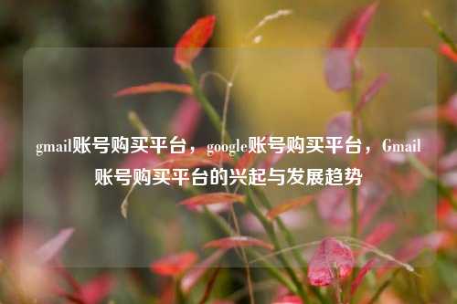 gmail账号购买平台，google账号购买平台，Gmail账号购买平台的兴起与发展趋势