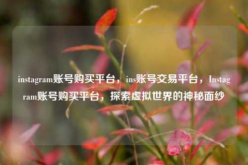 instagram账号购买平台，ins账号交易平台，Instagram账号购买平台，探索虚拟世界的神秘面纱