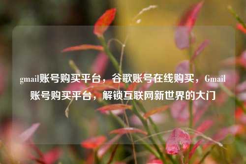 gmail账号购买平台，谷歌账号在线购买，Gmail账号购买平台，解锁互联网新世界的大门