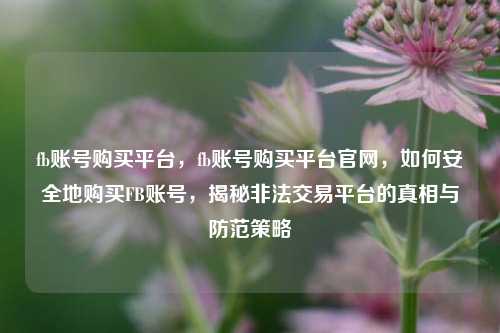 fb账号购买平台，fb账号购买平台官网，如何安全地购买FB账号，揭秘非法交易平台的真相与防范策略