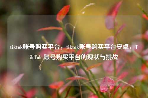 tiktok账号购买平台，tiktok账号购买平台安卓，TikTok 账号购买平台的现状与挑战