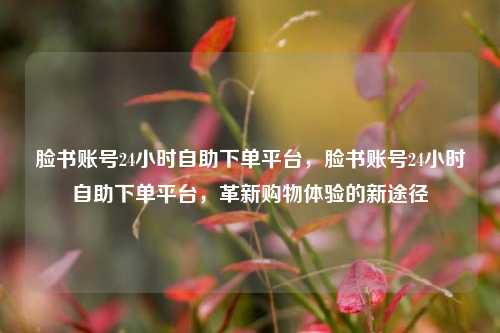 脸书账号24小时自助下单平台，脸书账号24小时自助下单平台，革新购物体验的新途径
