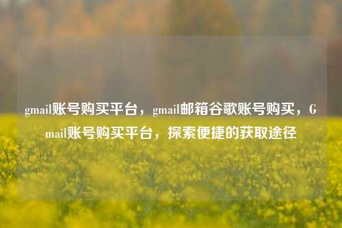 gmail账号购买平台，gmail邮箱谷歌账号购买，Gmail账号购买平台，探索便捷的获取途径
