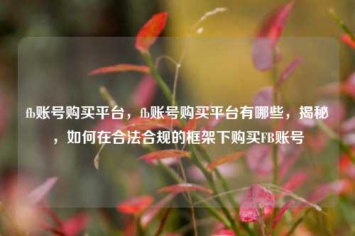 fb账号购买平台，fb账号购买平台有哪些，揭秘，如何在合法合规的框架下购买FB账号