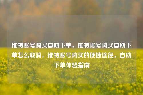 推特账号购买自助下单，推特账号购买自助下单怎么取消，推特账号购买的便捷途径，自助下单体验指南