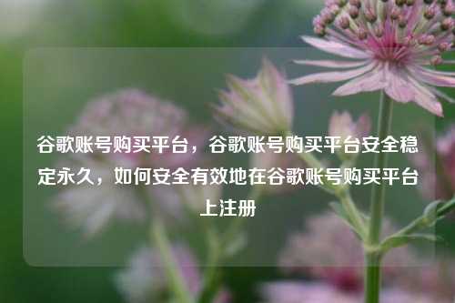 谷歌账号购买平台，谷歌账号购买平台安全稳定永久，如何安全有效地在谷歌账号购买平台上注册