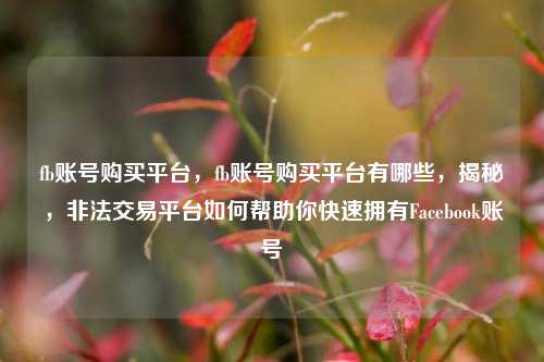 fb账号购买平台，fb账号购买平台有哪些，揭秘，非法交易平台如何帮助你快速拥有Facebook账号