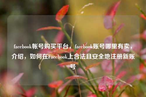 facebook帐号购买平台，facebook账号哪里有卖，介绍，如何在Facebook上合法且安全地注册新账号