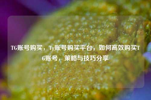 TG账号购买，Tg账号购买平台，如何高效购买TG账号，策略与技巧分享
