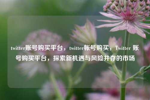 twitter账号购买平台，twitter帐号购买，Twitter 账号购买平台，探索新机遇与风险并存的市场