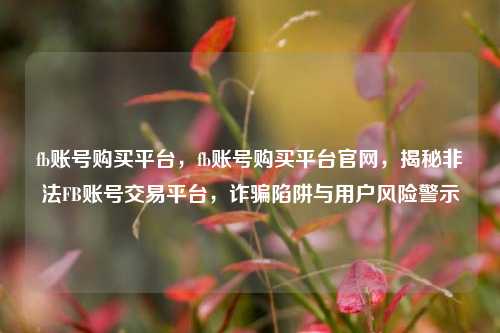 fb账号购买平台，fb账号购买平台官网，揭秘非法FB账号交易平台，诈骗陷阱与用户风险警示