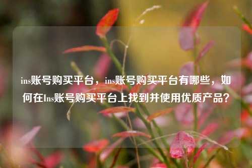 ins账号购买平台，ins账号购买平台有哪些，如何在Ins账号购买平台上找到并使用优质产品？