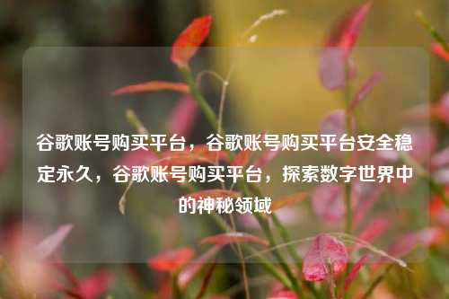 谷歌账号购买平台，谷歌账号购买平台安全稳定永久，谷歌账号购买平台，探索数字世界中的神秘领域