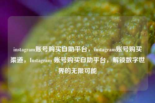 instagram账号购买自助平台，instagram账号购买渠道，Instagram 账号购买自助平台，解锁数字世界的无限可能