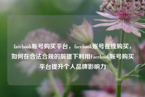 facebook帐号购买平台，facebook账号在线购买，如何在合法合规的前提下利用Facebook帐号购买平台提升个人品牌影响力