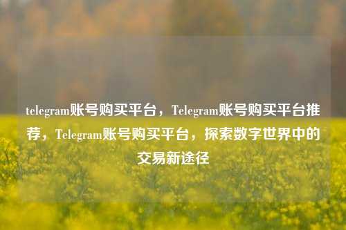 telegram账号购买平台，Telegram账号购买平台推荐，Telegram账号购买平台，探索数字世界中的交易新途径