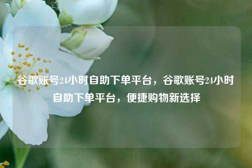 谷歌账号24小时自助下单平台，谷歌账号24小时自助下单平台，便捷购物新选择