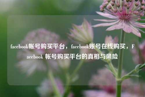 facebook帐号购买平台，facebook账号在线购买，Facebook 帐号购买平台的真相与风险
