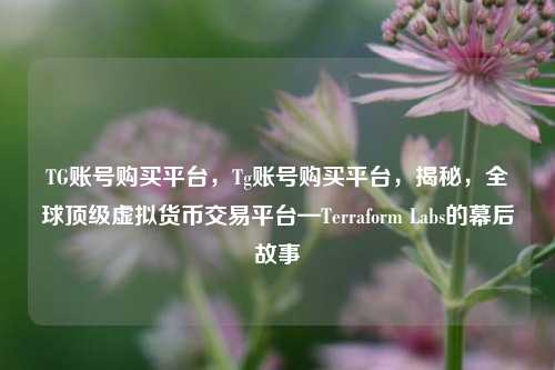 TG账号购买平台，Tg账号购买平台，揭秘，全球顶级虚拟货币交易平台—Terraform Labs的幕后故事
